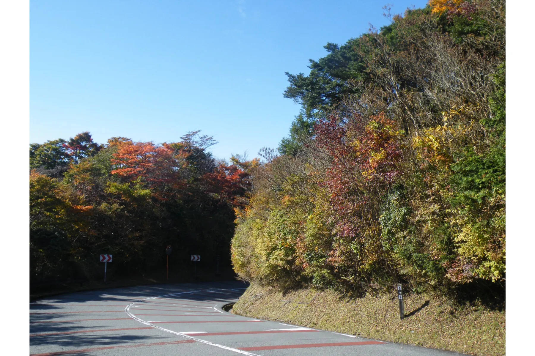 芦ノ湖スカイラインの紅葉情報_3