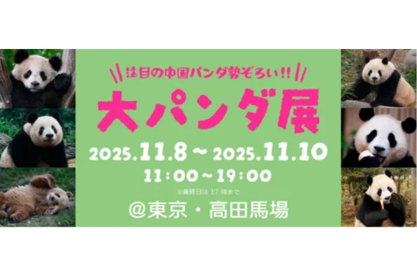 会議中のパンダ 注目の中国パンダ勢ぞろい！ 大パンダ展