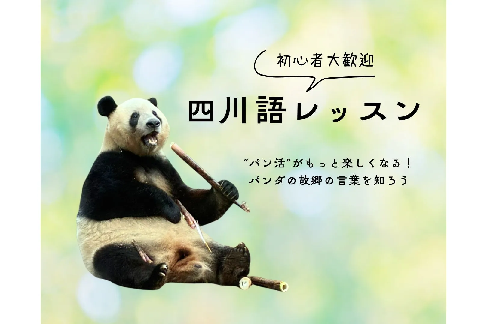 会議中のパンダ 注目の中国パンダ勢ぞろい！ 大パンダ展