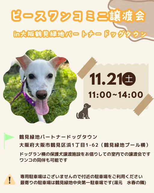 ミニ譲渡会in大阪鶴見緑地パートナードッグタウン