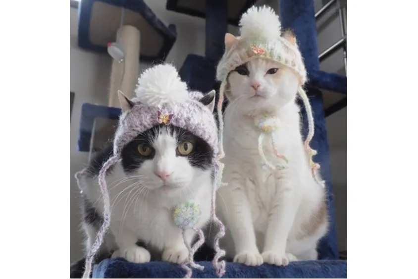 ねこ展～ねこ・猫・ネコ　アート＆グッズフェア～_2