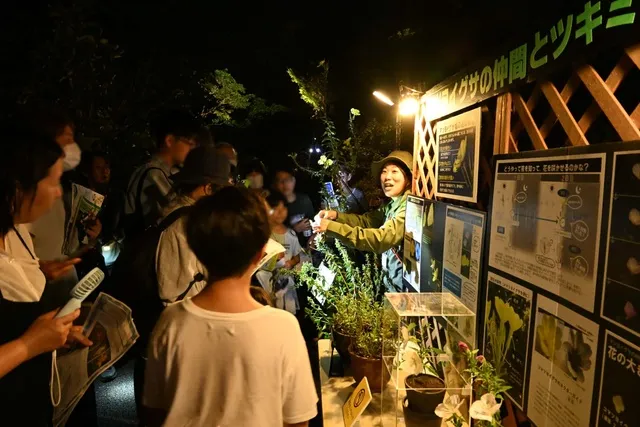 夜の植物園