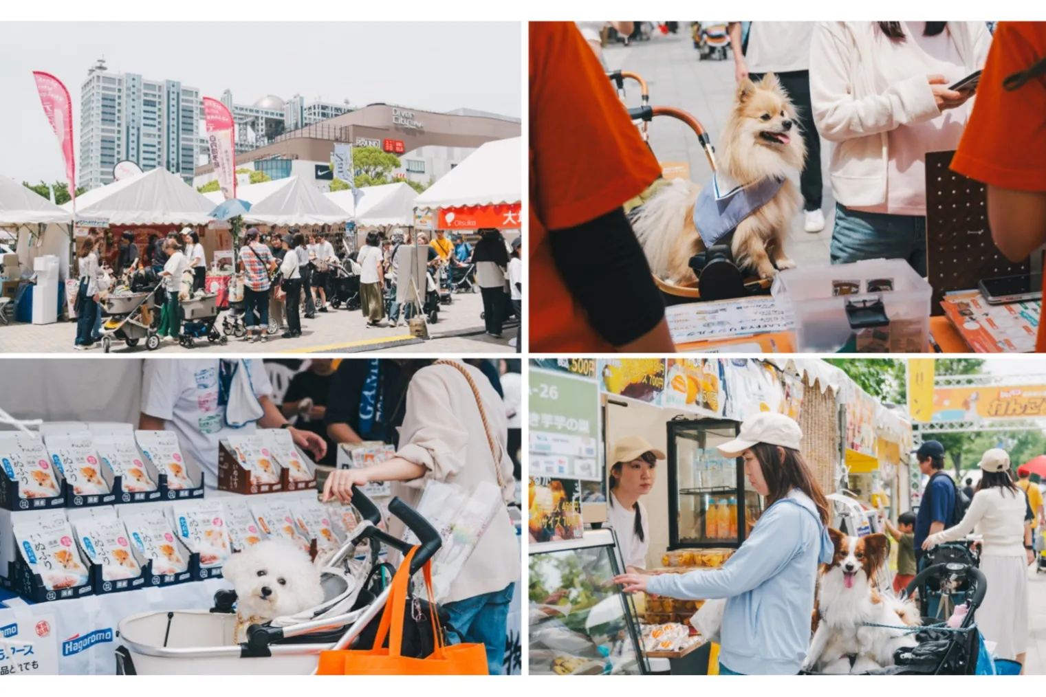 ジャパンわんこフェスタ2025 秋 in お台場_2