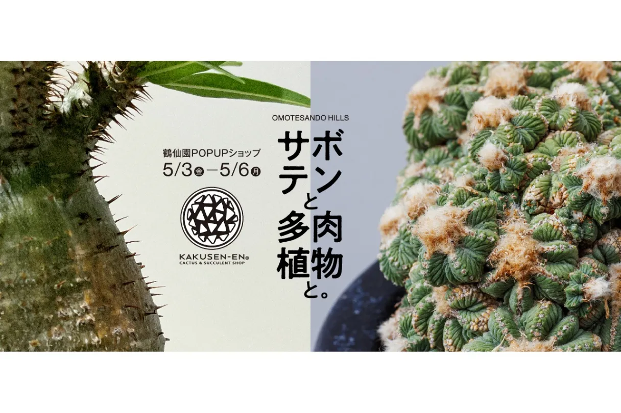 コーヒー LOCKFIELD EQUIPMENT×鶴仙園 植木鉢 Amazon.co.jp: セット 鶴仙園 × lockfield equipment コラボ 鉢