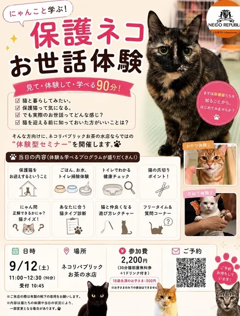 保護猫お世話体験