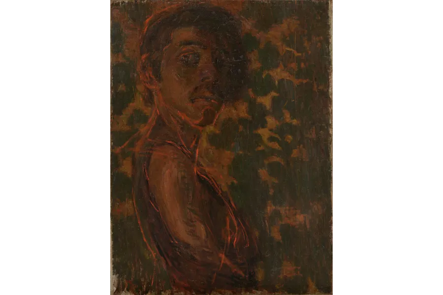 青木繁、自画像、画集、新品額付 青木繁、自画像、画集、新品額付 51nqhr4lF2L._AC_SY200_QL15_.jpg