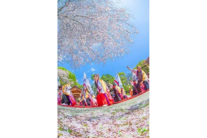 出雲大社相模分祠奉納　第1回神奈川よさこいまつり_4
