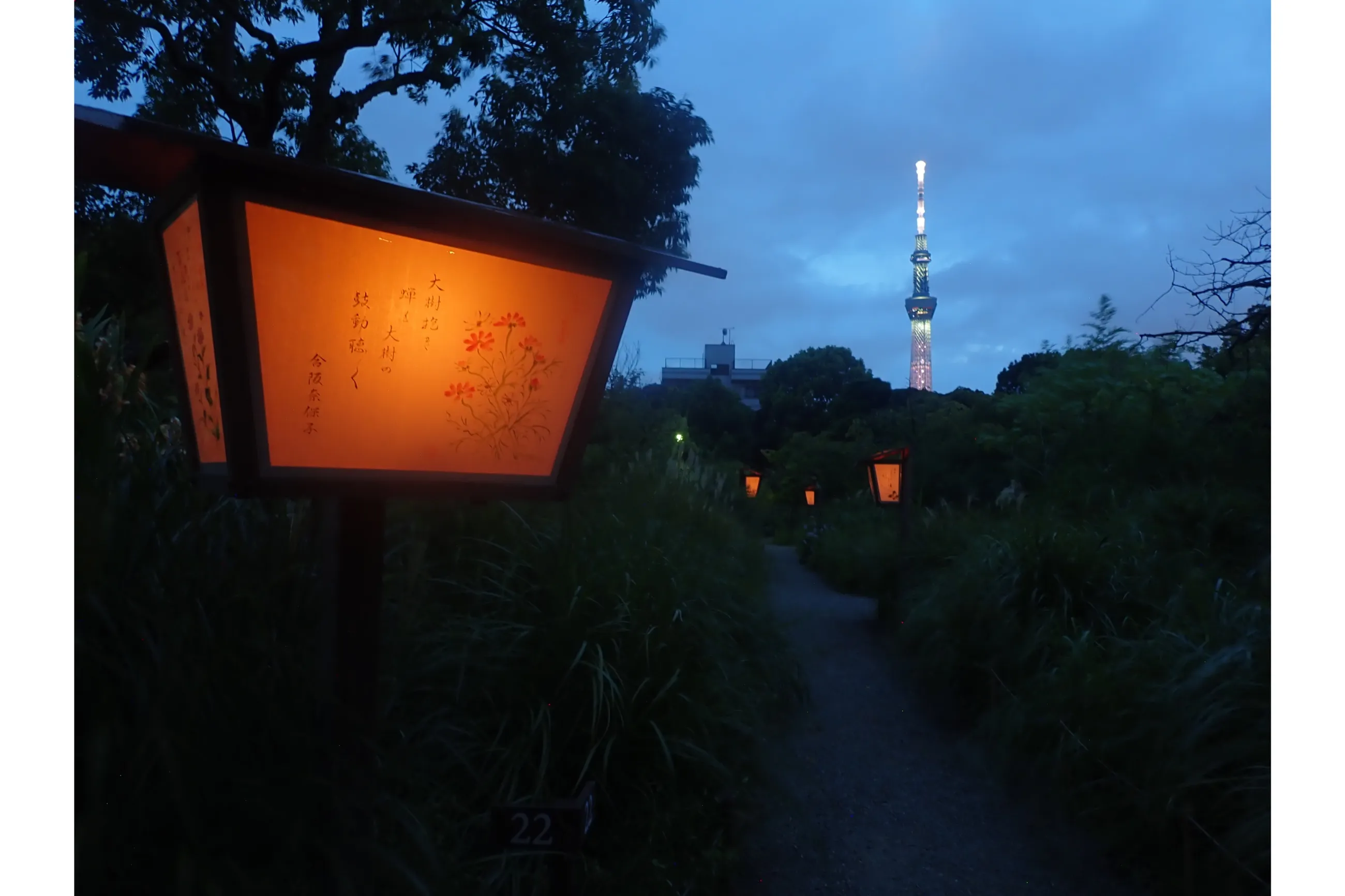 お月見イベント2026