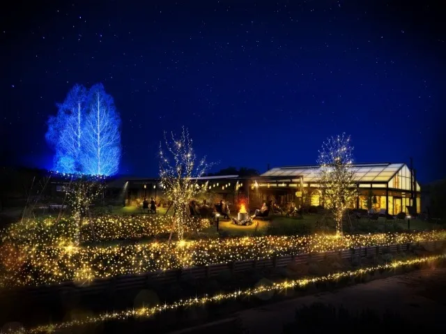 いばらきフラワーパークイルミネーション「Moonlight Rose Gaeden2025」