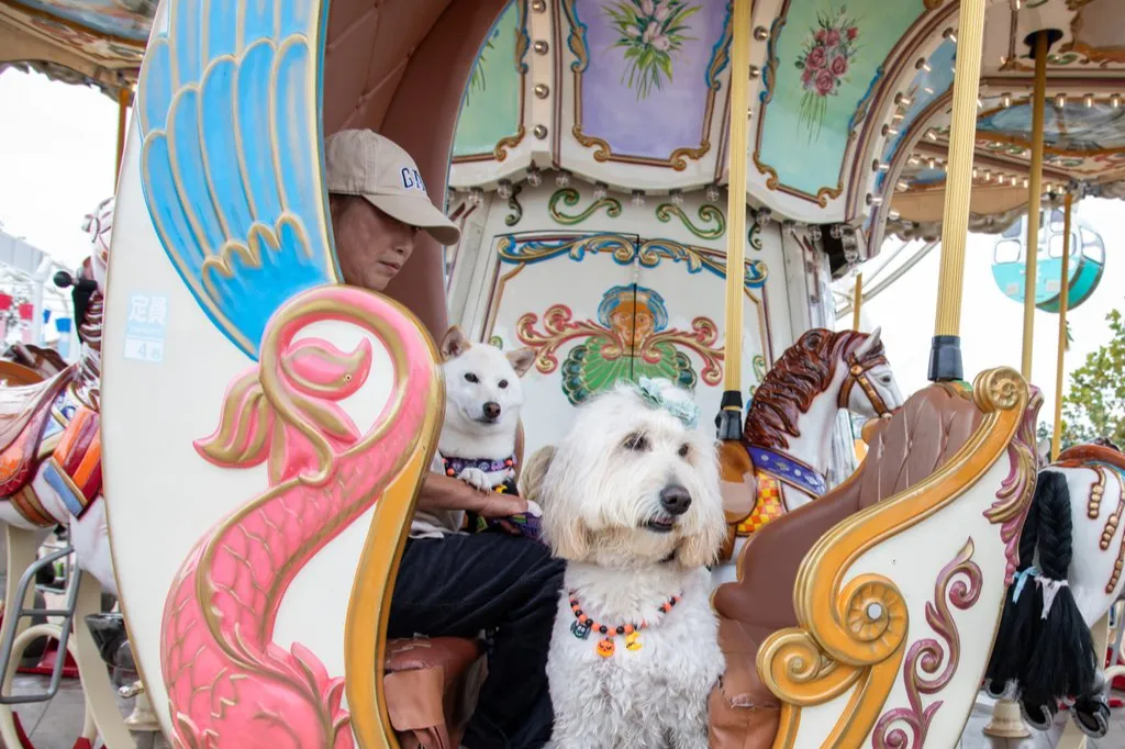 SOLEIL DOG PARADE 2026 ～ネモフィラ畑に大集合！～