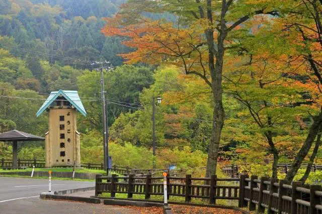 【紅葉・見ごろ】薬研・奥薬研温泉