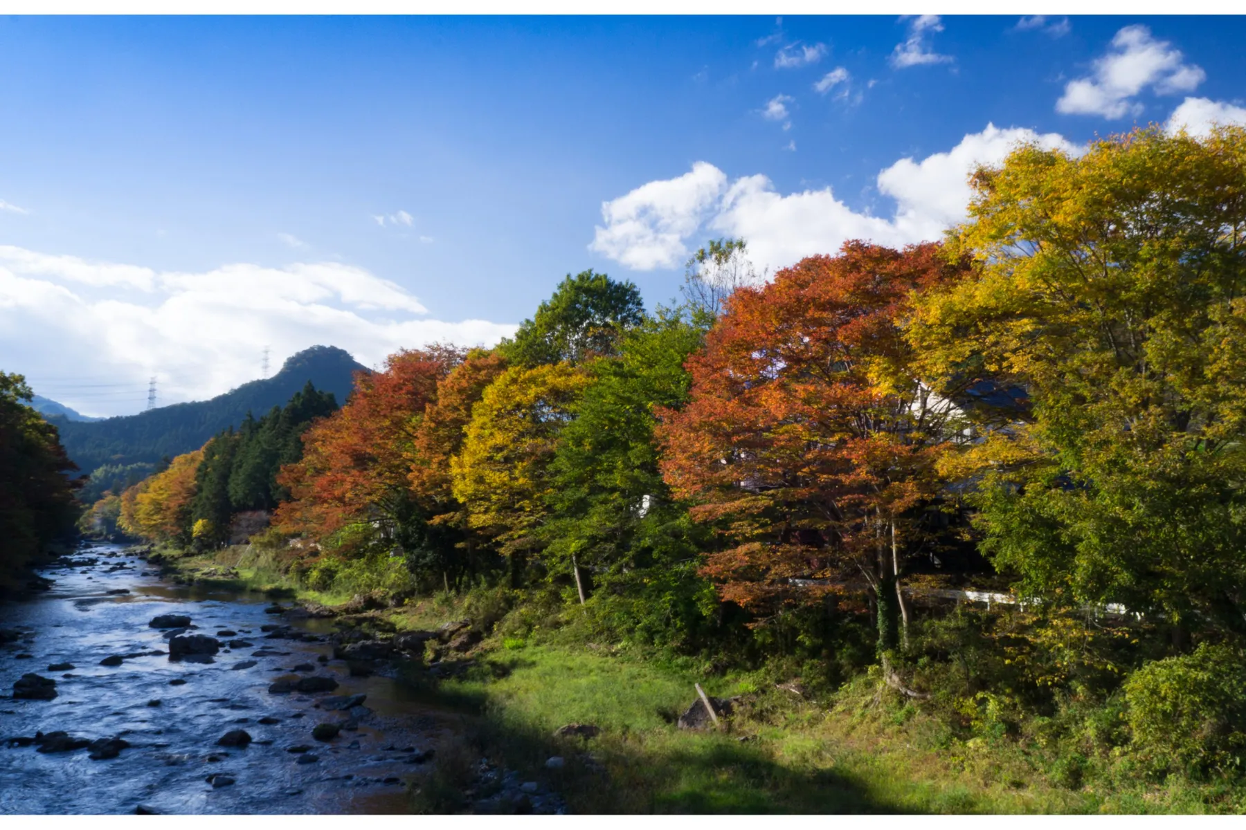 秋川渓谷の紅葉情報_2