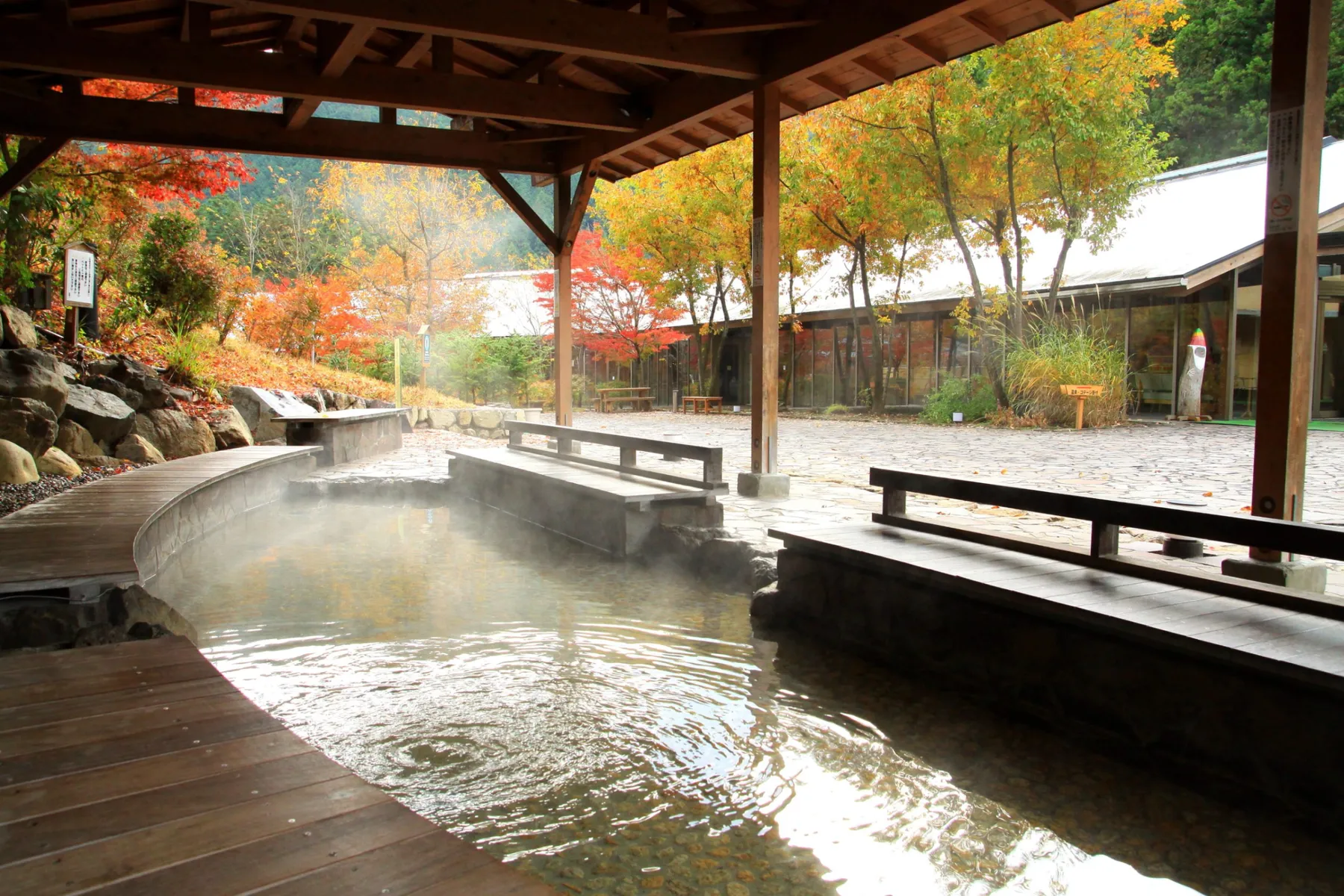 秋川渓谷の紅葉情報_5