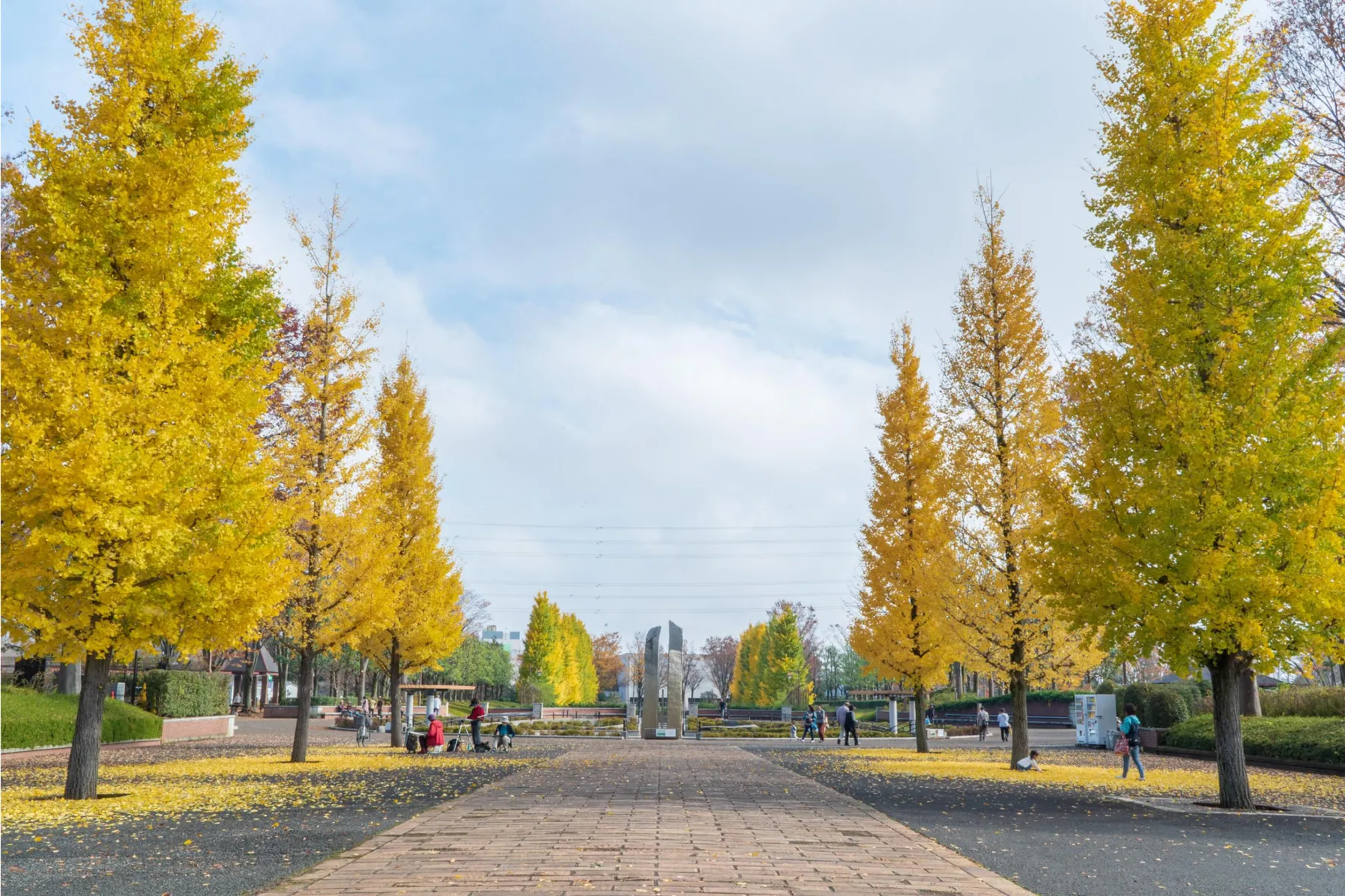秋川渓谷の紅葉情報_6