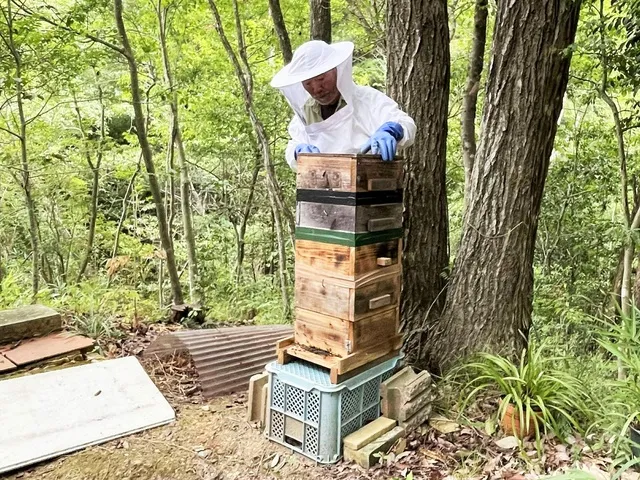 奈良さとやまSUMMERキャンペーン2026 蜂蜜採取とパウンドケーキ作り