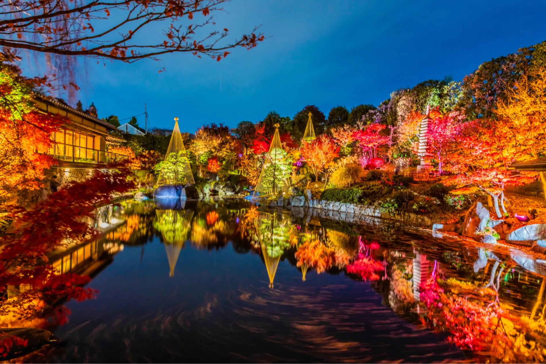 めじろアートナイトvol.5―『庭園の紅葉ライトアップ』