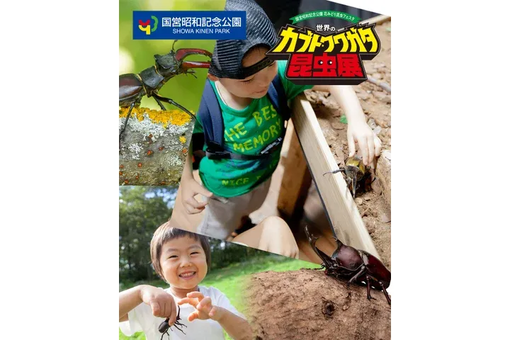 ＊写真はイメージです。