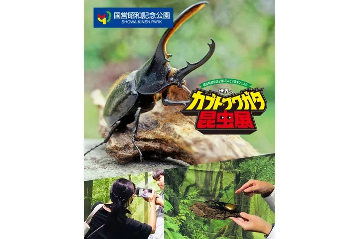 世界のカブト・クワガタ昆虫展_3