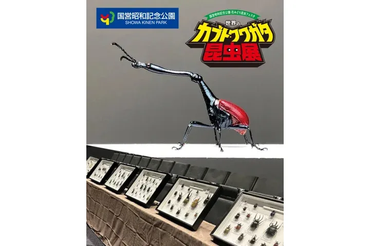 世界のカブト・クワガタ昆虫展_6