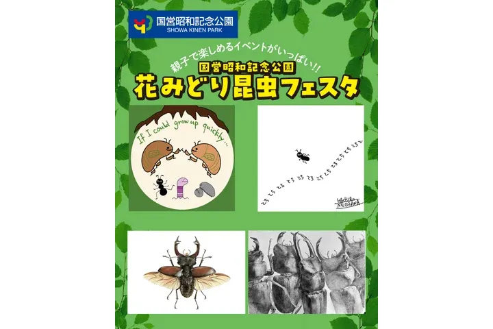 世界のカブト・クワガタ昆虫展_8