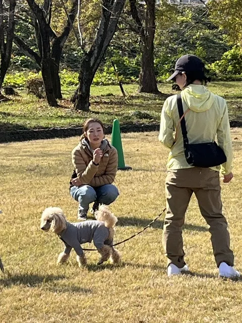 初めての犬のマナー教室