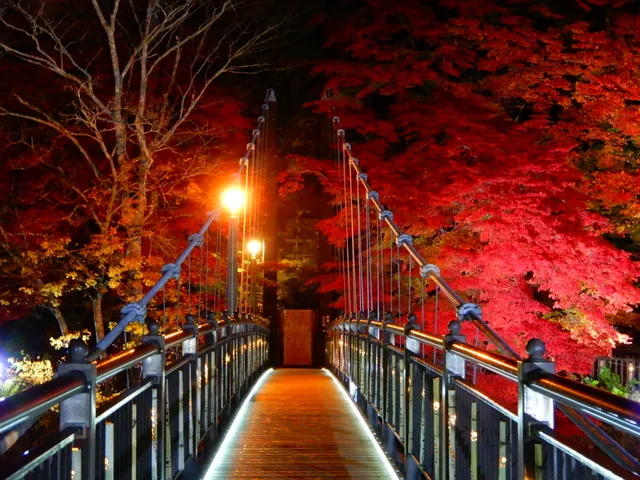 塩原温泉紅葉ライトアップ