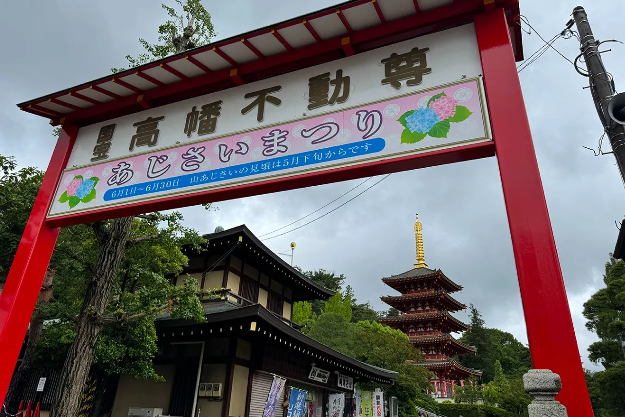 高幡不動尊あじさいまつり 2026_1