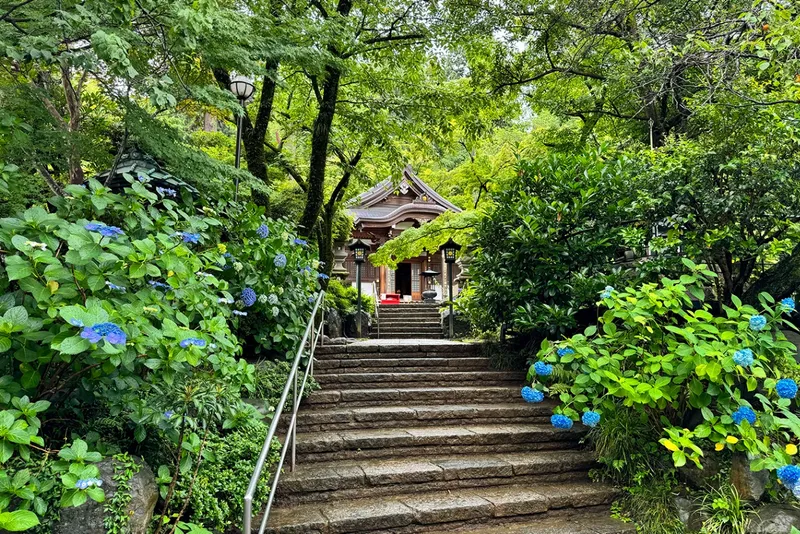 高幡不動尊あじさいまつり 2026