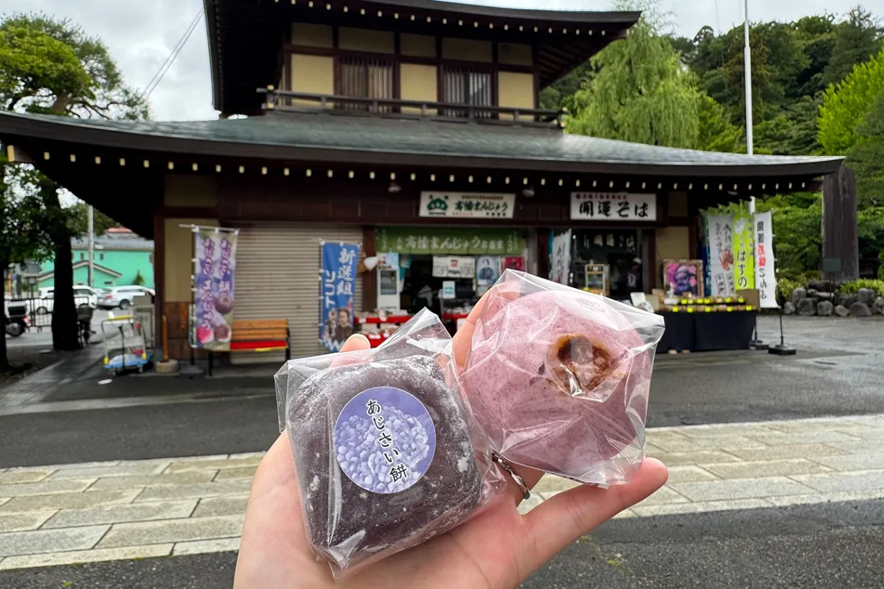 高幡不動尊あじさいまつり 2026_20