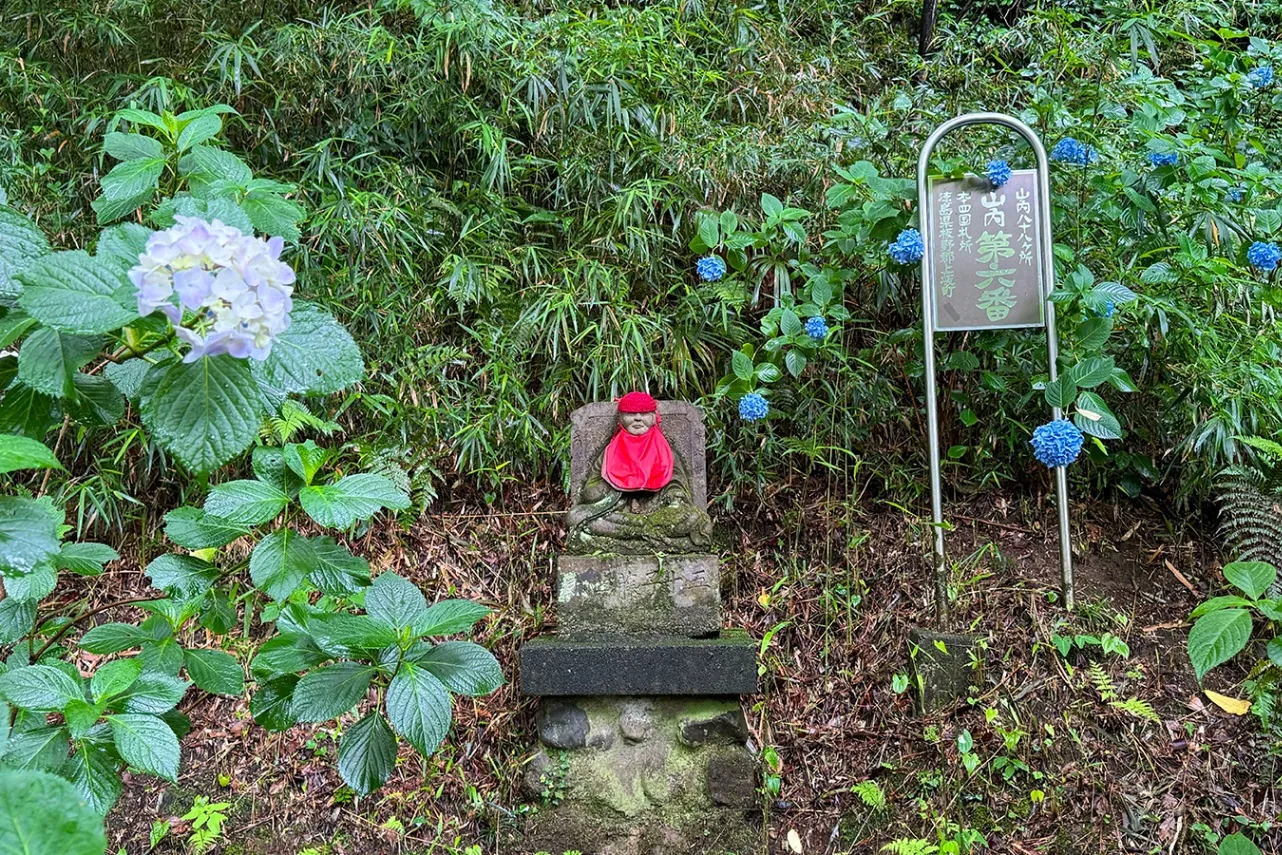 高幡不動尊あじさいまつり 2026_5