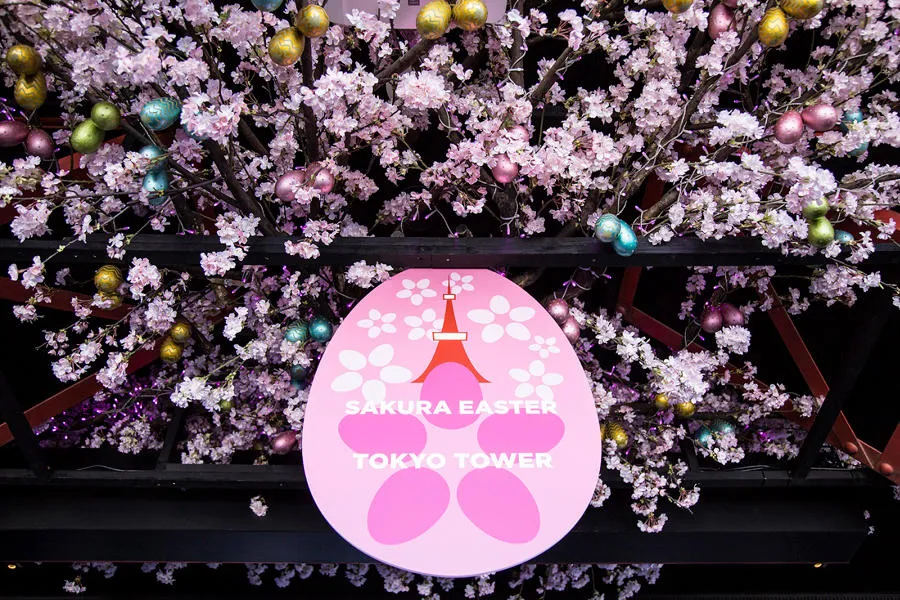 東京タワー SAKURA EASTER