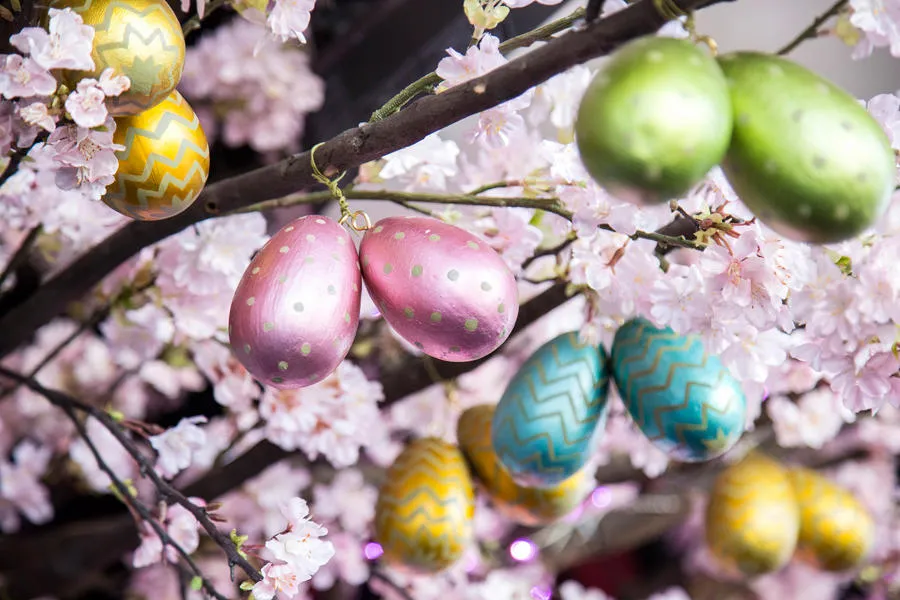 東京タワー SAKURA EASTER