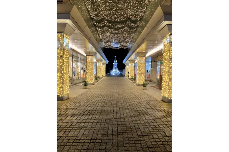 代官山アドレス・ディセ 冬のイルミネーション_3