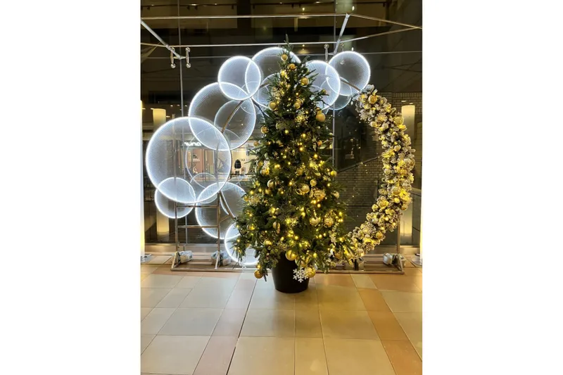 代官山アドレス・ディセ 冬のイルミネーション_5