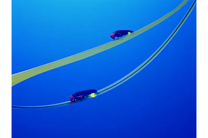 ※写真はイメージです