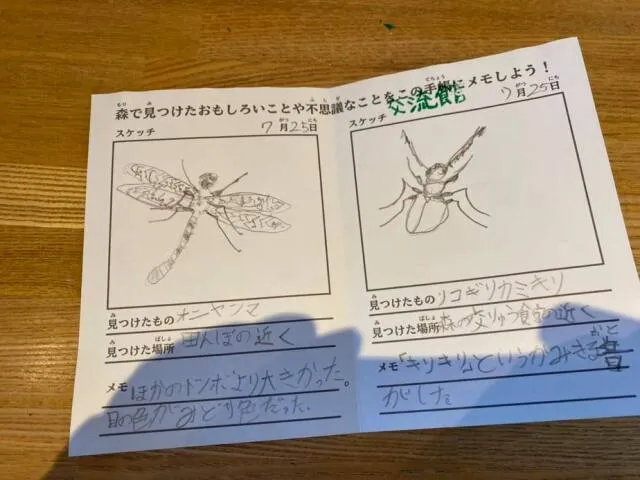 森の調査隊
