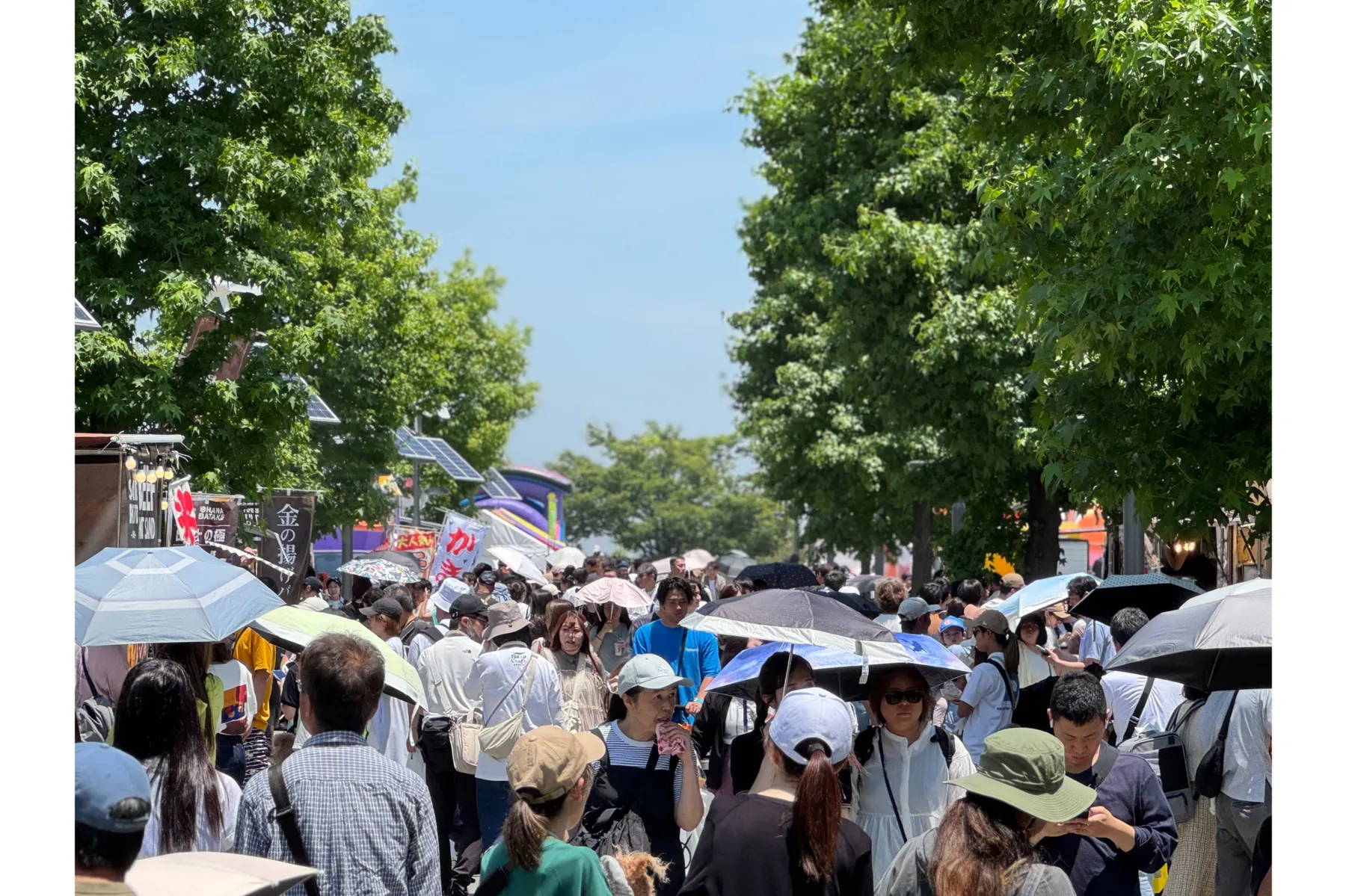 肉祭presentsホットドッググランプリ2026_4