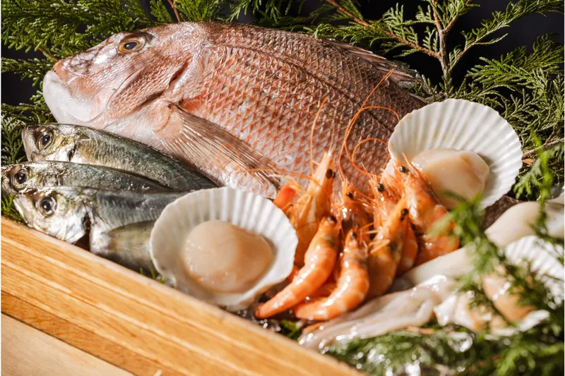 鮮魚 イメージ