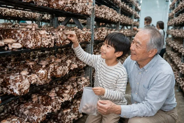 秋の味覚！上野村でしいたけ狩りツアー