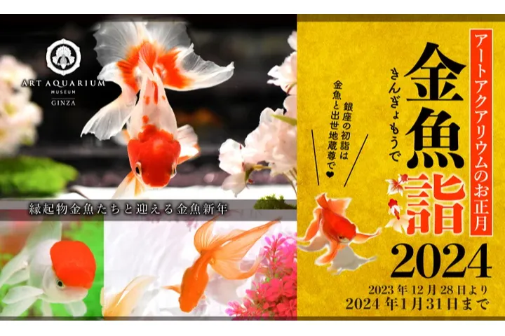お正月演出の冬のアートアクアリウム「金魚詣（きんぎょもうで）」_1