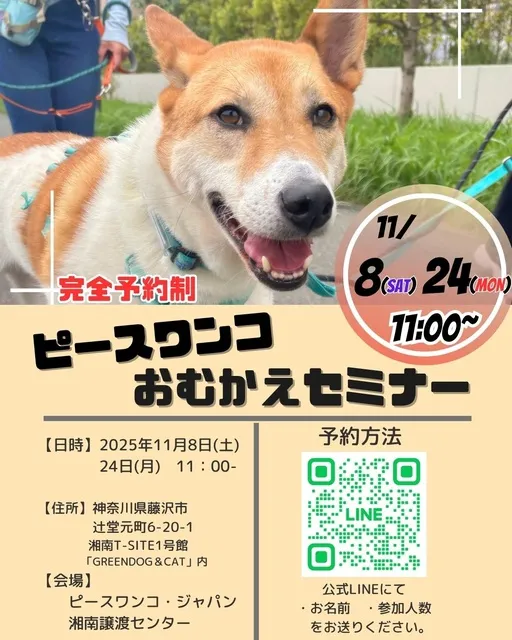 保護犬お迎えセミナー