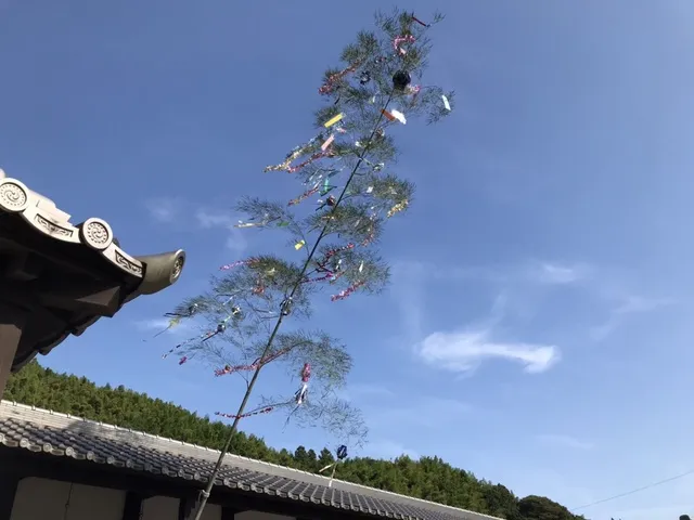 柏屋の七夕