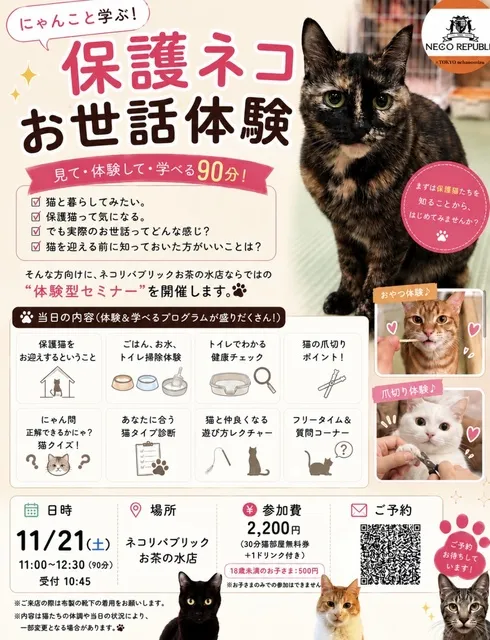 保護猫お世話体験