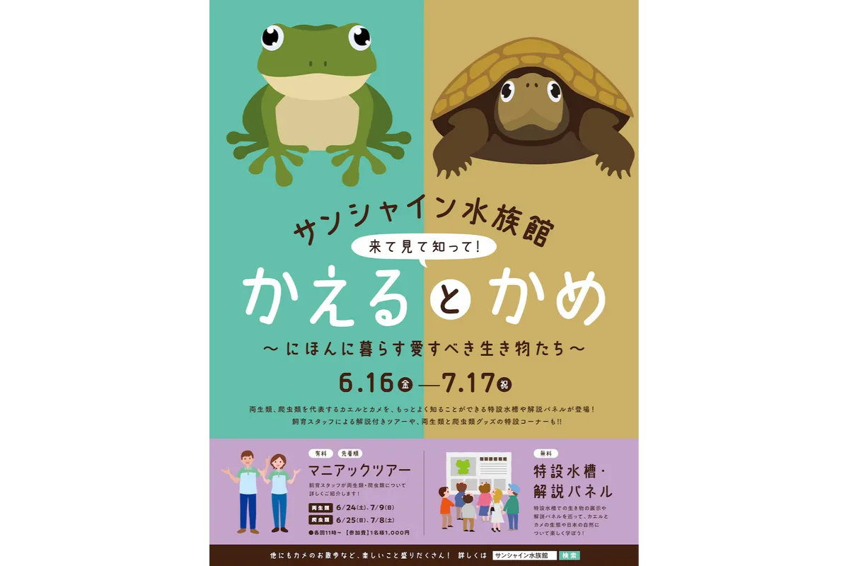 かえるとかめ～にほんに暮らす愛すべき生き物たち～