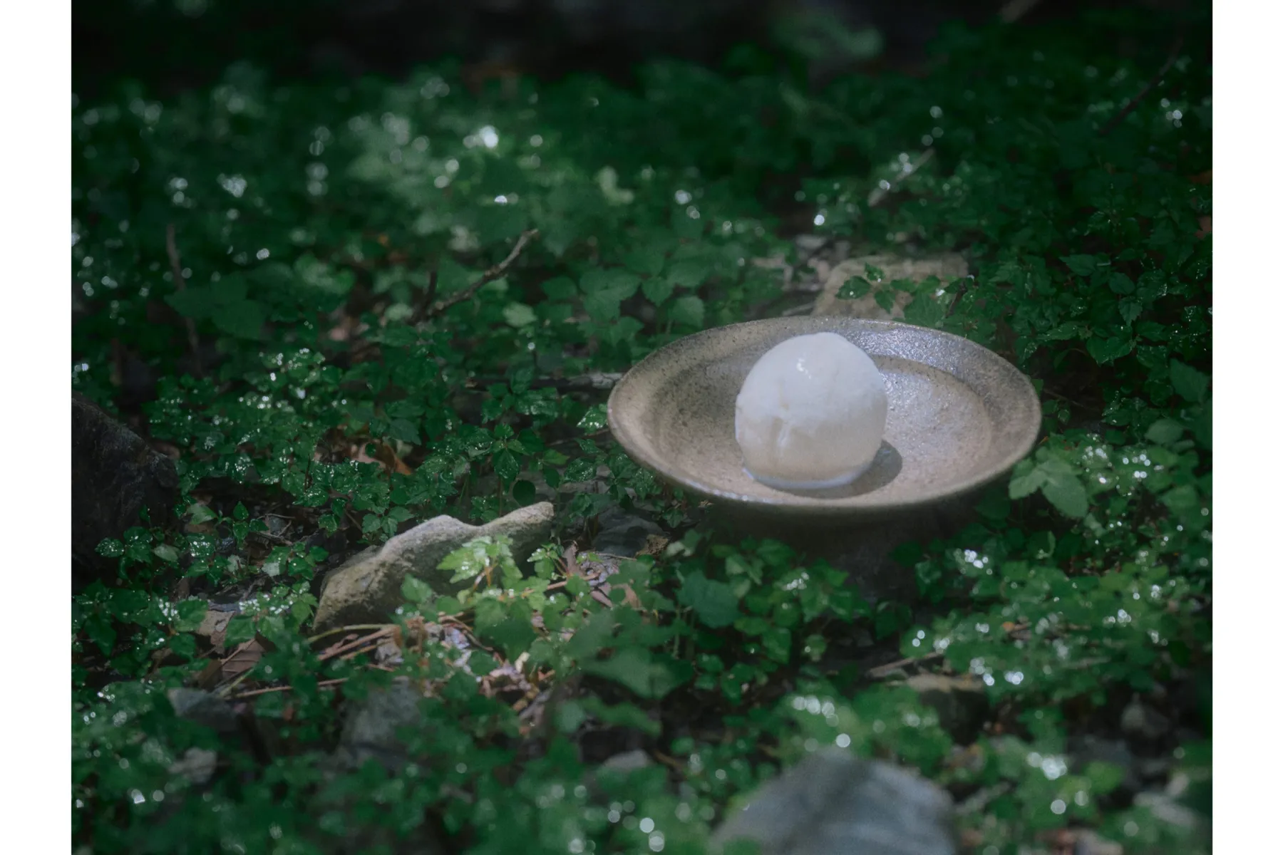 AOBA CRAFT ICE CREAM MARKET_13