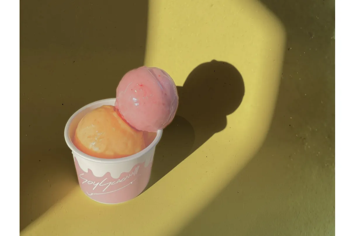 AOBA CRAFT ICE CREAM MARKET_9