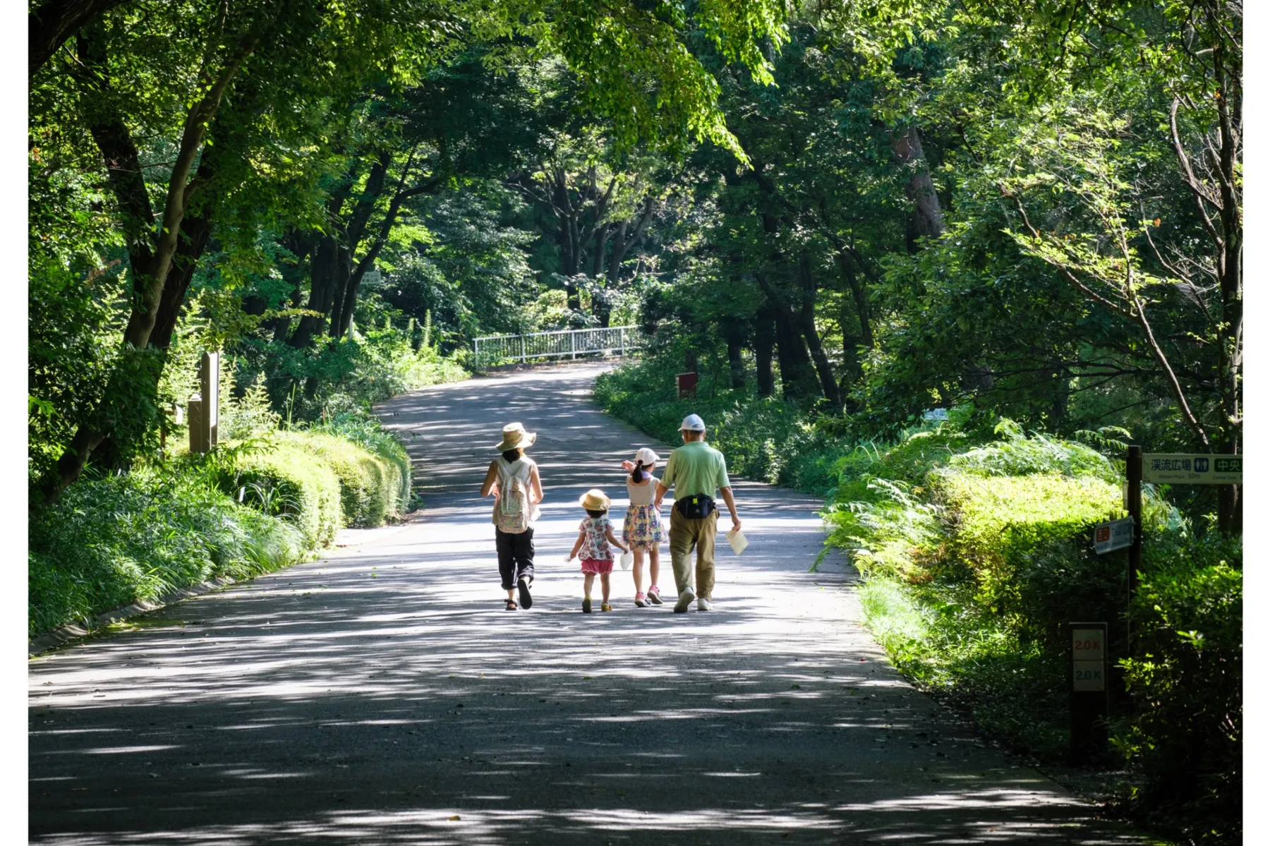 ヤマユリ・ヒマワリ・コリウスの見頃【国営武蔵丘陵森林公園】_13