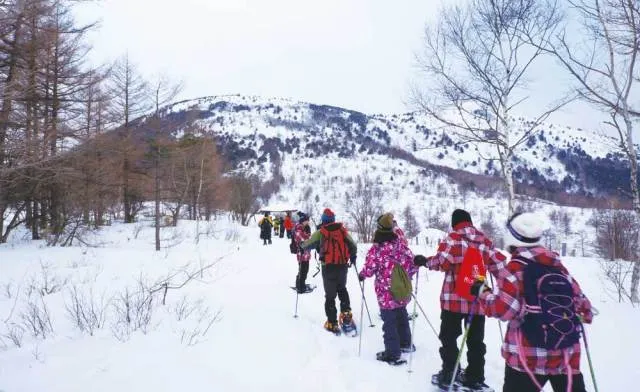 ガイド付！湯の丸スノーシュートレッキング2026