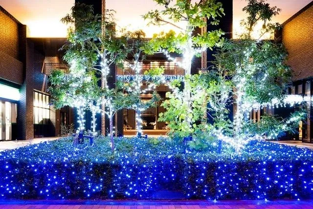 イルミネーションアイランドお台場2025　the SOHO