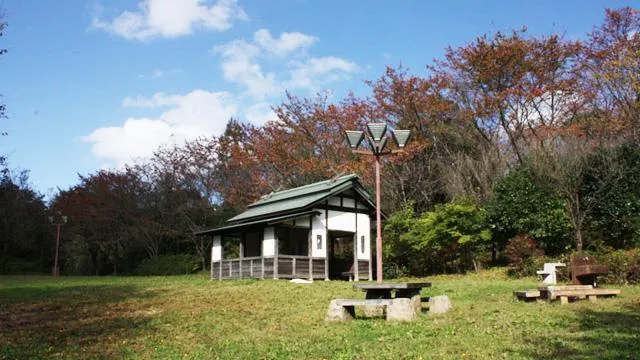 【桜・見ごろ】志乎・桜の里 古墳公園